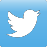 twitter mini icon